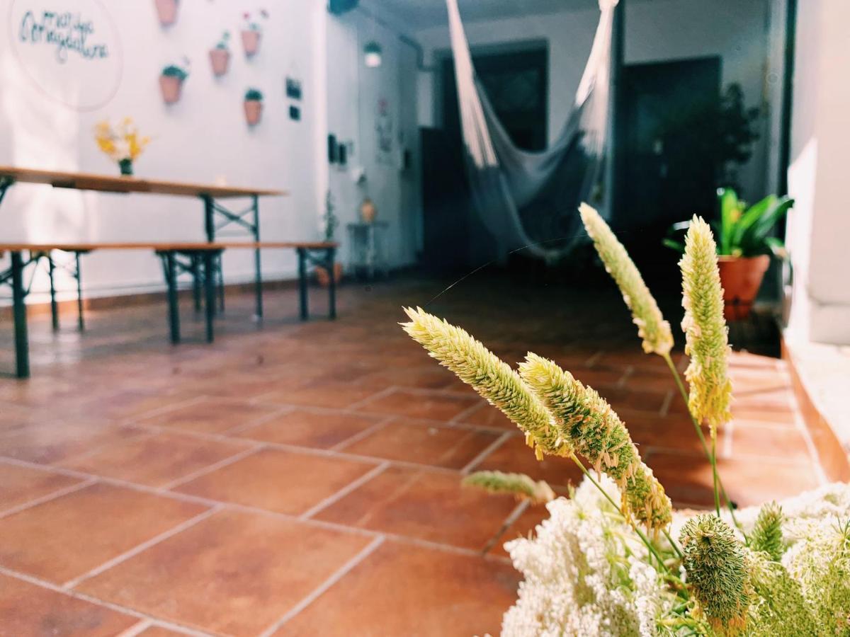 Maria Magdalena - Room 8 Malaga Ngoại thất bức ảnh